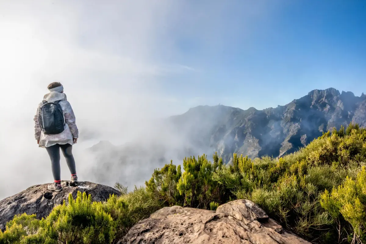 מדריך למדיירה