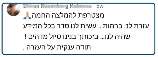 המלצה 4